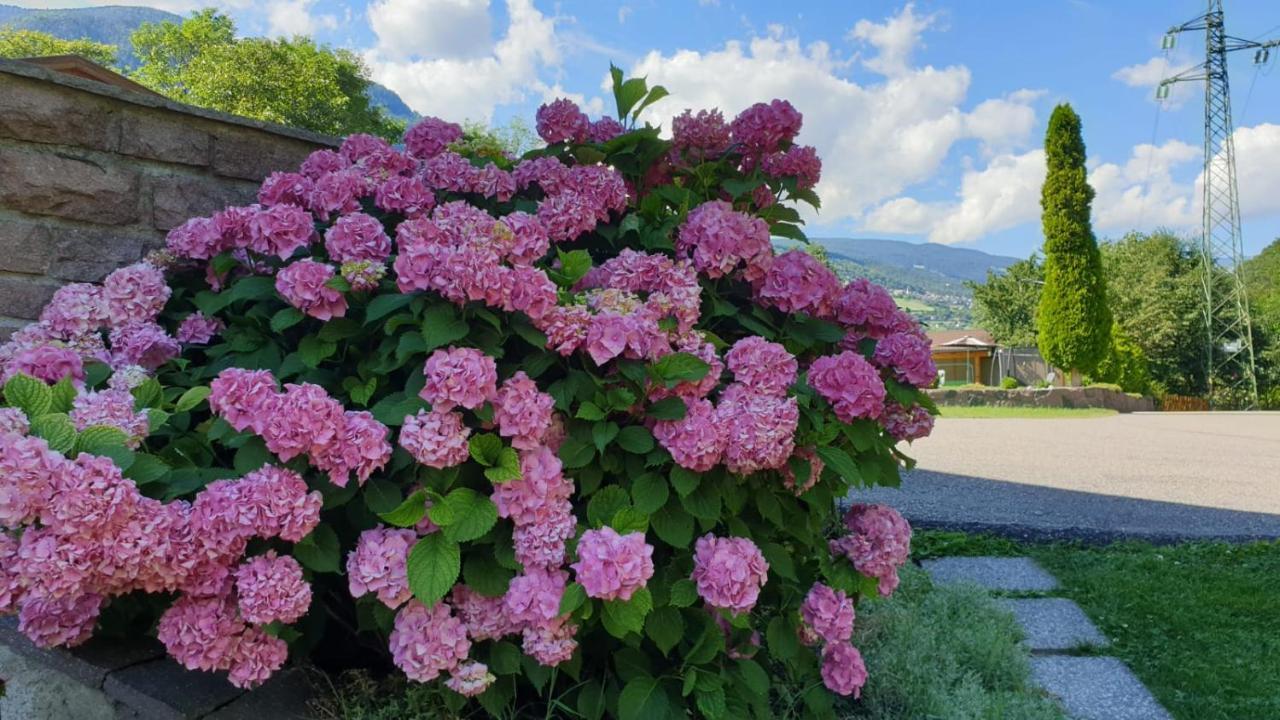 Ferienwohnungen Koflerhof Castelrotto Ngoại thất bức ảnh